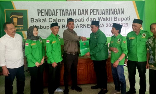 Maju di Pilkada 2024 Banjarnegara, Suami Kades Pucang Daftar di Lima Partai