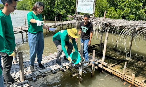 MPMX Kembali Tanam Puluhan Ribu Bibit Mangrove di NTT: Langkah Konkret Menuju Kelestarian Lingkungan