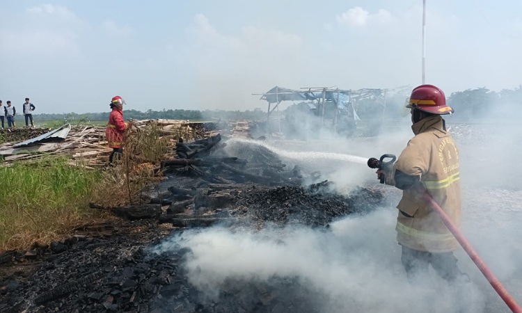 Tempat Penampungan Kayu Milik Kades di Cilacap Terbakar