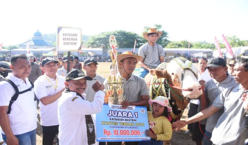 Ciptakan Bibit Ternak Kelas Nasional, Pemkab Situbondo Gelar Kontes Sapi dan Domba 