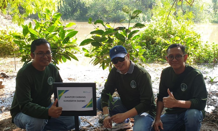 BPJamsostek Surabaya Darmo Employee Volunteering di Hutan Mangrove