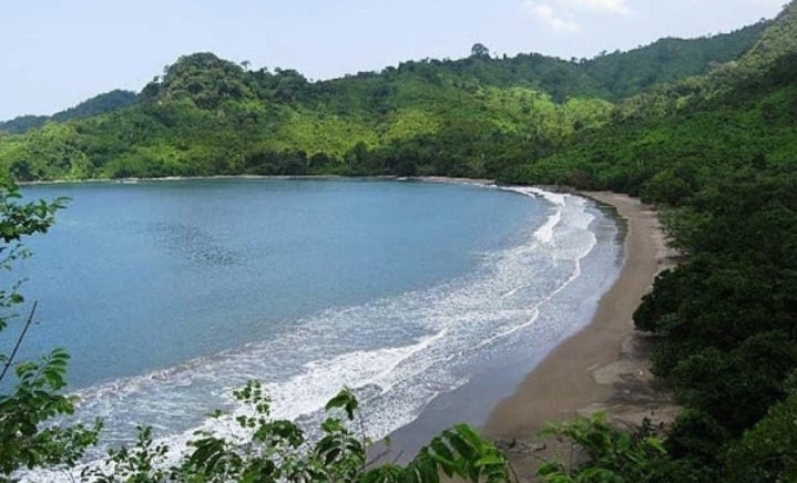 Menemukan Ketenangan Alam di Pantai Bandealit: Wisata Asri di Tengah Hutan Lindung