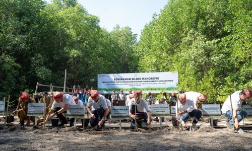 Yayasan AHM dan MPM Honda Jatim Tanam Puluhan Ribu Mangrove di Banyuwangi