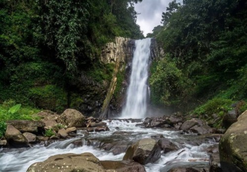 Pesona Air Terjun Antrokan di Jember: Destinasi Wisata Petualangan yang Menantang