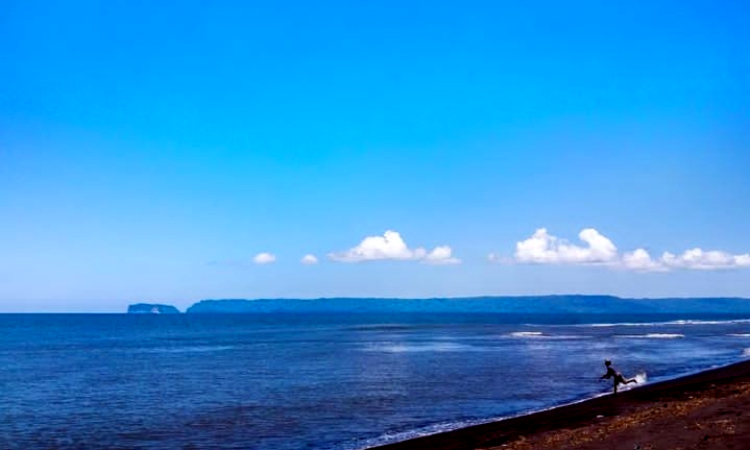 Menyelami Keindahan Pantai Cemara di Kabupaten Jember, Wisata Murah untuk Keluarga