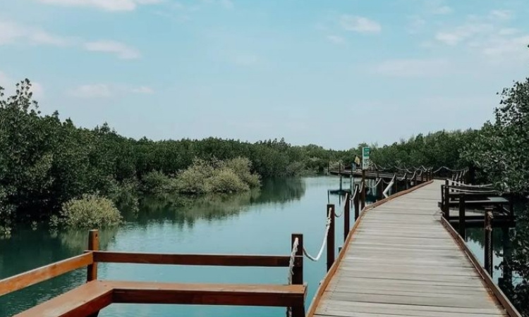 Pantai Duta, Surga Tersembunyi di Probolinggo dengan Keindahan Alam dan Aktivitas Seru