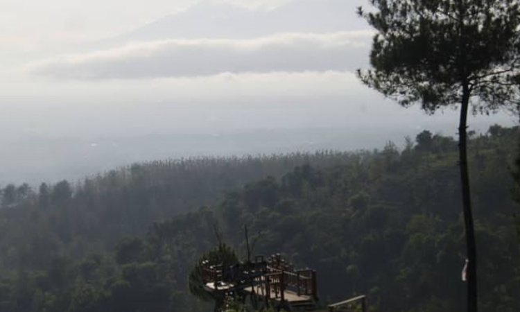 Bersatu dengan Alam di Bukit Maha Dewa Bondowoso, Destinasi Wisata Tersembunyi di Jawa Timur