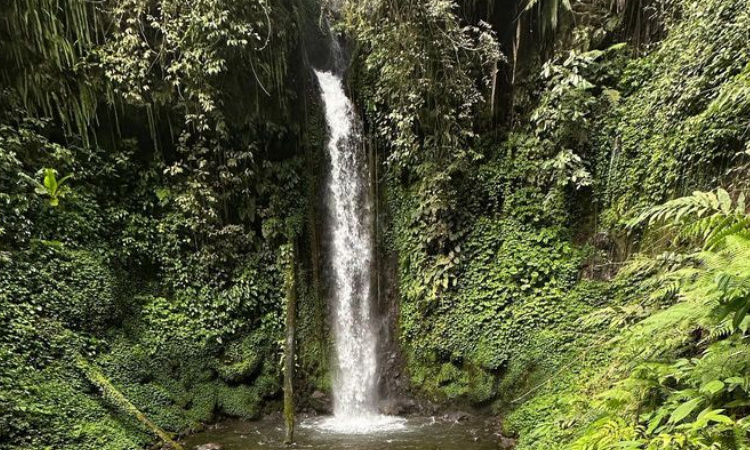 Keindahan Air Terjun Watu Lapis di Lumajang: Surga Tersembunyi di Jawa Timur