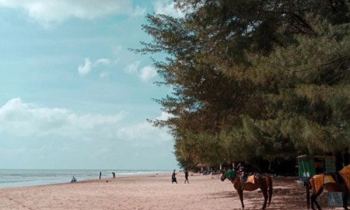 Pantai Lombang Sumenep, Destinasi Wisata Keluarga yang Menakjubkan