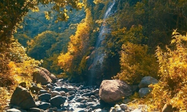 Pesona Indah Air Terjun Tretes Jombang, Pesona Alam yang Memikat