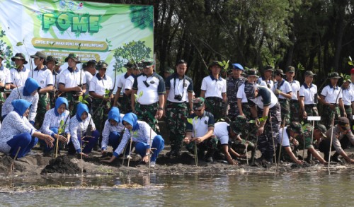 Tanam Mangrove di Banyuwangi, Upaya TNI AL jaga Masa Depan Pesisir Indonesia
