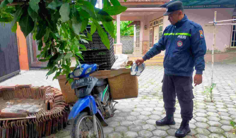 Maling Buah Naga yang Bikin Resah Petani Banyuwangi Diringkus Polisi