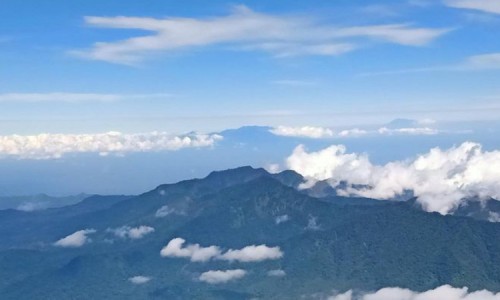 Menjelajahi Keindahan dan Keunikan Tahura Raden Soerjo di Mojokerto