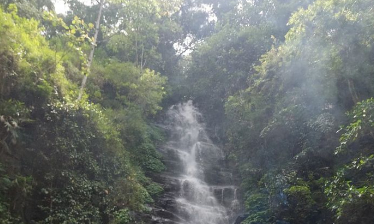 Menikmati Keindahan Alam di Air Terjun Dlundung Mojokerto