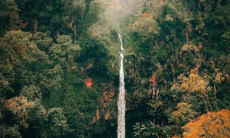 Coban Watu Ondo, Wisata Alam Tersembunyi di Mojokerto