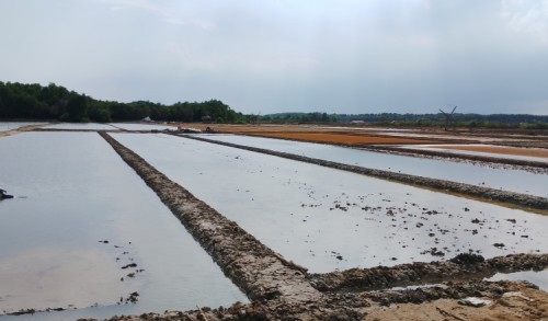 Akibat Hujan Deras, Petani Garam di Sampang Gagal Panen