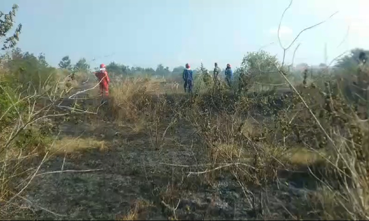 Kebakaran Kembali Melanda Lahan Kilang Tuban 