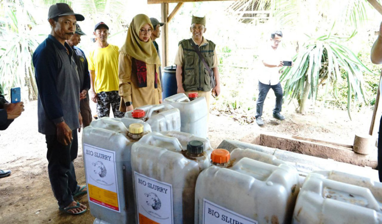 Peternak Banyuwangi Sulap Kotoran Kambing Jadi Biogas Dan Pupuk Organik ...