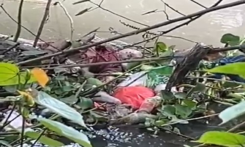 Warga Tulangan Sidoarjo Dikejutkan Penemuan Mayat Pria di Sungai