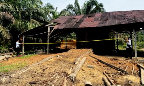 Polisi Segel Sawmill Tak Bertuan di Kampar, Diduga Jadi Lokasi Pengolahan Kayu Ilegal 