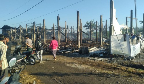 Peternakan Milik Kades di Banyuwangi Terbakar, Belasan Ribu Ayam Hangus Terpanggang