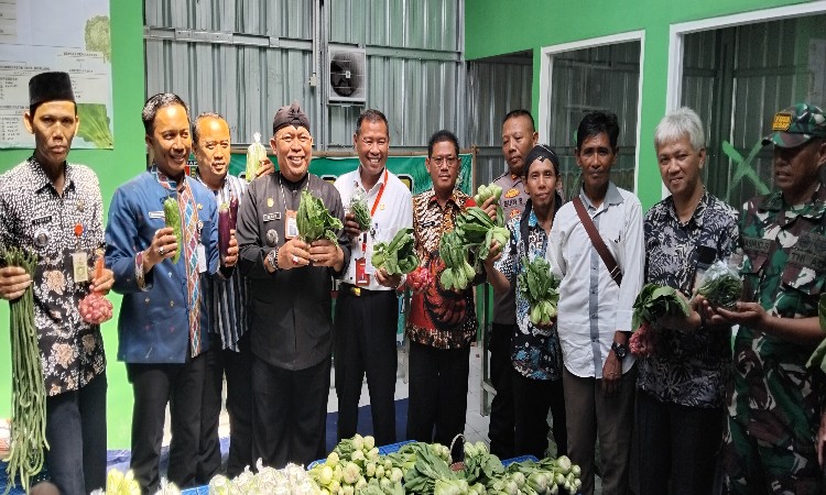 Pj Bupati Cilacap Dorong Masyarakat Manfaatkan Lahan Pekarangan jadi Lahan Produktif 