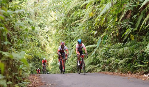 Perbaikan Lintasan Tour de Banyuwangi Ijen Capai 90 Persen