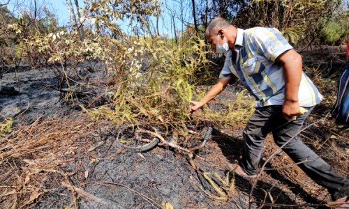 Kebakaran Lahan di Kampar Padam, Malah Temukan Jasad Tinggal Tulang Belulang