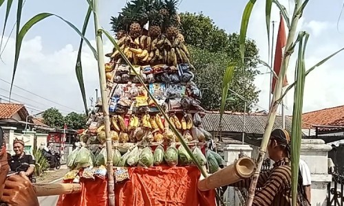 Sepuluh Gunungan Sayuran Diarak dalam Acara Sedekah Bumi di Desa Bojongnangka Pemalang