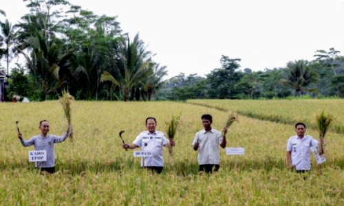 Bupati Hendy Dorong Petani Gunakan Pupuk Organik, Lebih Sehat dan Meningkatkan Kualitas Tanah