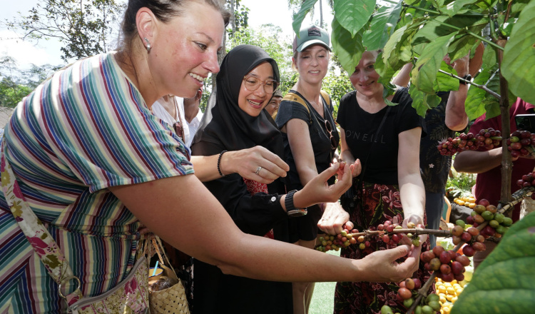 Festival Kopi Rakyat, Angkat Identitas Kopi Banyuwangi