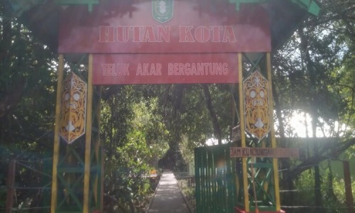 Hutan Kota Teluk Akar Bergantung di Ketapang Kembali Dibuka untuk Wisatawan