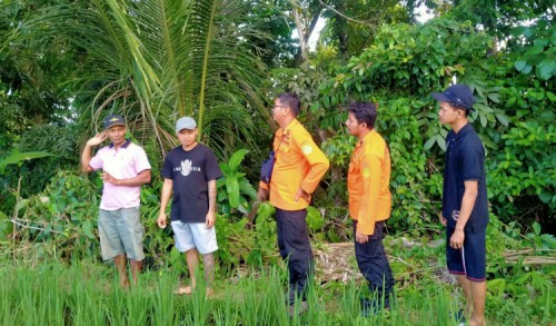 Tiga Hari Hilang, Lansia di Banyuwangi Diduga Hanyut