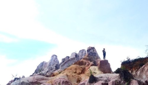 Bukit Anggana, Pesona Alami ala Bukit Teletubbies di Kutai Kartanegara