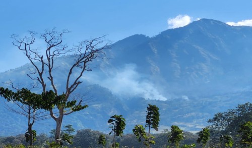 Gunung Merapi Ungup-Ungup Banyuwangi Terbakar, Helikopter Water Bombing siap Diterjunkan jika Api Terus Meluas