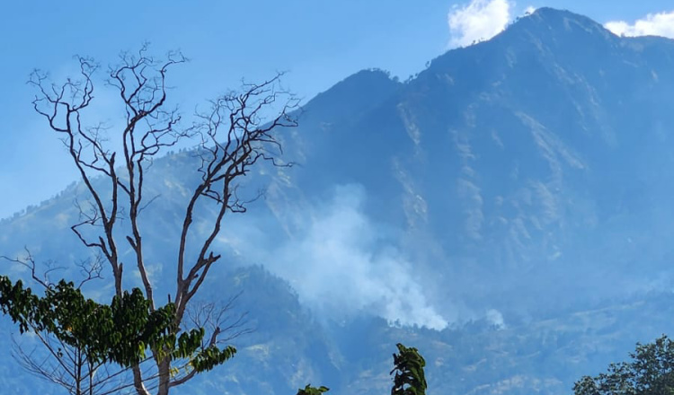 Kebakaran Hutan di Gunung Merapi Ungup-Ungup Banyuwangi Berangsur Padam