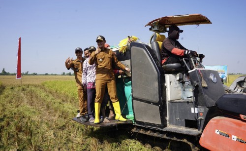 Kabupaten Tuban Jadi Lumbung Pangan Nasional, Ini Strateginya