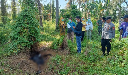 Kerangka Manusia Ditemukan di Kebun Bikin Geger Warga Banyuwangi