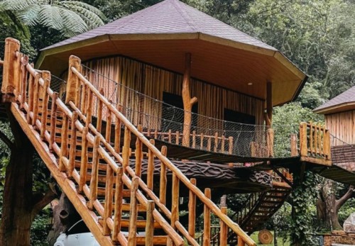 Taman Safari Indonesia Bogor: Destinasi Edukasi dan Petualangan Satwa