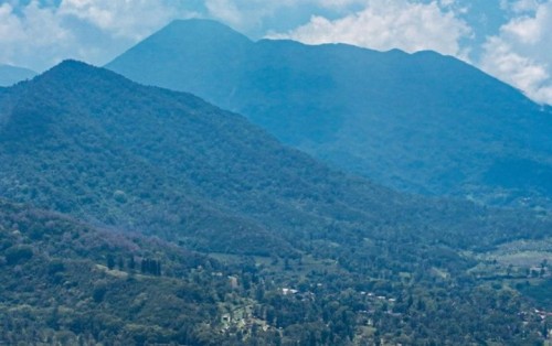 Puncak Bogor: Surga Wisata Alam dan Kuliner di Ketinggian Jawa Barat