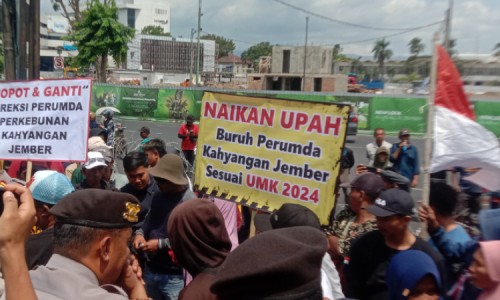 Nestapa Buruh PDP di Masa Bupati Hendy, Upah Sebulan Hanya Rp 500 Ribu dan Tak Dapat THR