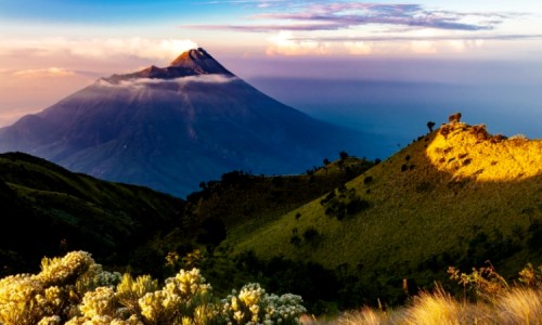 Kehidupan dan Karya Wali Songo dalam Penyebaran Islam di Jawa