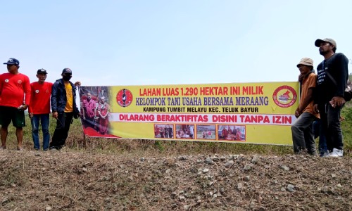 Kelompok Tani UBM dan Pasukan Merah Gerah, Tuntut Ganti Untung dari PT Berau Coal