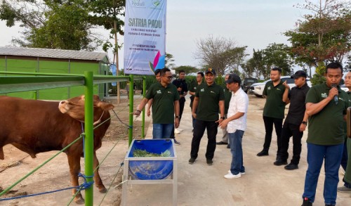 Upaya PLN Nusantara Power untuk Dongkrak Kesejahteraan Petani dan Peternak di Tuban