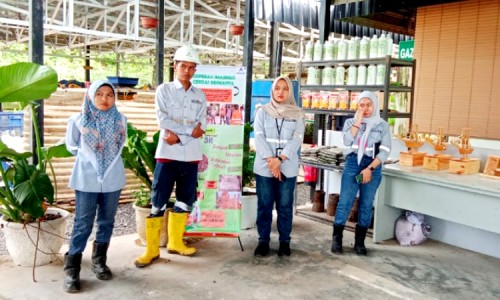 Komunitas ICB Sukses Kembangkan Pengolahan Sampah Organik Menjadi Pupuk di Tambang Emas Martabe