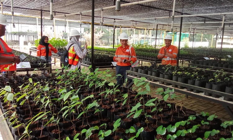 Jaga Kelestarian lingkungan, Tambang Emas Martabe Tingkatkan Kualitas Pembibitan dan Perluas Penanaman Pohon