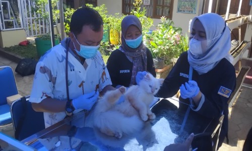 Antisipasi dan Pertahankan Zero Kasus Rabies, Pemkab Cilacap Rutin Gelar Vaksinasi HPR