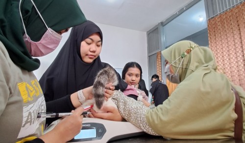 Gerakan Vaksinasi Rabies di Banyuwangi, Upaya Pertahankan Status Zero Kasus