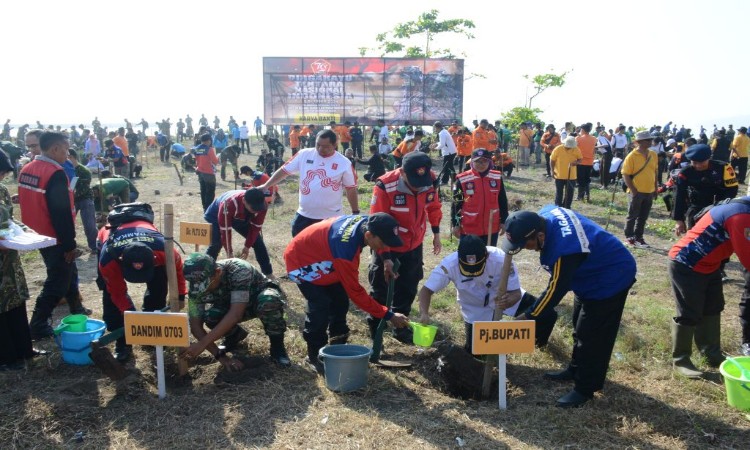 Kodim Cilacap Tanam 1.500 Pohon Cemara Laut di Pantai Teluk Penyu Atasi Abrasi