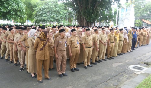 Yuk Daftar! Banyuwangi Buka Rekrutmen 614 Formasi Tenaga Guru, Nakes, dan Teknis